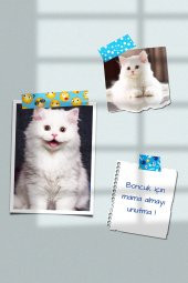 Washi Desenli Bant, Renkli Bant, Dekoratif Desen Bant,Washitape Sticker (14 mm - 2.4 mt) -037 - 1