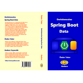 Derinlemesine Java Spring Boot Data - 1