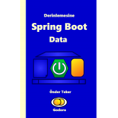 Derinlemesine Java Spring Boot Data - 2