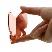 Mobilya Çekmece Dolap Kapak Kulpu Kulbu Çocuk Bebek Genç Odası Plastik Bakır Kulp 32 mm thumbnail 5