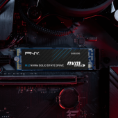 PNY CS2230 500 GB 3300/2500 NVMe PCIe M.2 SSD (M280CS2230-500-RB) - 4