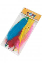 Puti 10 Lu Karışık Renkli Tüy - 1