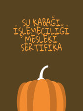 su kabağı işlemeciliği mesleki sertifika programı - 1
