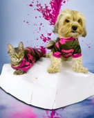 Pinky Camouflage Penye Tulum Köpek Tulumu Köpek Elbisesi - 7