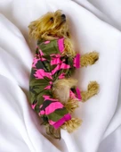 Pinky Camouflage Penye Tulum Köpek Tulumu Köpek Elbisesi - 3