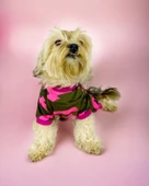 Pinky Camouflage Penye Tulum Köpek Tulumu Köpek Elbisesi - 2