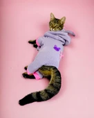 Sweet Bunnyy Kulaklı Kedi Tulumu, Kedi Kıyafeti thumbnail 6