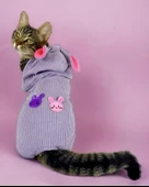 Sweet Bunnyy Kulaklı Kedi Tulumu, Kedi Kıyafeti thumbnail 1