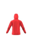 adidas Erkek Sweatshirt IC8050 - 11