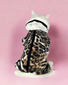 Leo Chiquee Polar Kapşonlu Duo Kedi Tulumu Kıyafeti - 3