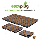 Eazy Plug Tohum Ekim Viyolü 3.5x3.5x3 cm 24 göz - 2
