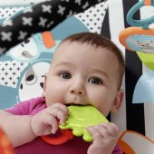 Fisher-Price Neşeli Hayvanlar 3ü 1 Arada Jimnastik Merkezi HBP41 - 3