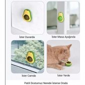 Kedi Nanesi Avokado Catnip Avokado Kedi Otu Topu Avokado Kedi Oyuncağı 1 Adet - 5