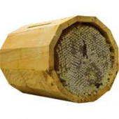 Kütük Ballık 2'li - 1