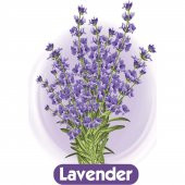 LadyFit Pamuklu Super Normal 24Lü - 3