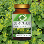 Aslan Pençesi Toz Ekstresi (Alchemilla vulgaris)100 gr. Cam Kavanoz - 4