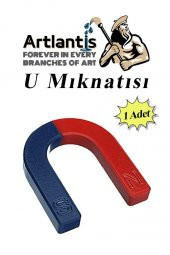 U Mıknatısı Deney Malzemesi 1 Adet Okul Projeleri İçin U Şekilli At Nalı Mıknatıs Kırmızı Mavi Boyalı - 1