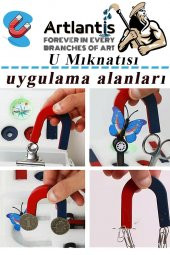 U Mıknatısı Deney Malzemesi 1 Adet Okul Projeleri İçin U Şekilli At Nalı Mıknatıs Kırmızı Mavi Boyalı - 2