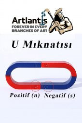U Mıknatısı Deney Malzemesi 4 Adet Okul Projeleri İçin U Şekilli At Nalı Mıknatıs Kırmızı Mavi Boyalı - 5