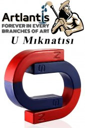 U Mıknatısı Deney Malzemesi 4 Adet Okul Projeleri İçin U Şekilli At Nalı Mıknatıs Kırmızı Mavi Boyalı - 6