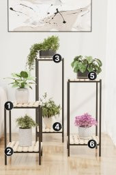 Bino Saksılık 3 LÜ SET AHŞAP Çiçeklik Dekoratif Lüks Bahçe Mobilyası Saksı Standı Bahçe Balkon Rafı - 2