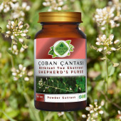 Çoban Çantası Toz Ekstresi (Capsella bursa-pastoris) 60 gr. Cam Kavanoz - 5