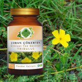 Çoban Çökerten Toz Ekstresi (Tribulus terrestris) 80 gr. Cam Kavanoz - 6
