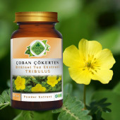 Çoban Çökerten Toz Ekstresi (Tribulus terrestris) 80 gr. Cam Kavanoz - 9