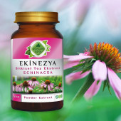 Ekinezya Toz Ekstresi (Echinacea Purpurea)70 gr. Cam Kavanoz - 4