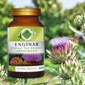 Enginar Toz Ekstresi (Cynara scolymus)70 gr. Cam Kavanoz - 4