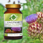 Enginar Toz Ekstresi (Cynara scolymus)70 gr. Cam Kavanoz - 5