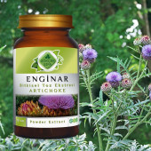 Enginar Toz Ekstresi (Cynara scolymus)70 gr. Cam Kavanoz - 6