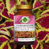 Forskolin Toz Ekstresi Coleus forskohlii100 gr. Cam Kavanoz - 5