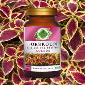Forskolin Toz Ekstresi Coleus forskohlii100 gr. Cam Kavanoz - 6
