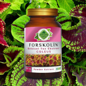 Forskolin Toz Ekstresi Coleus forskohlii100 gr. Cam Kavanoz - 7