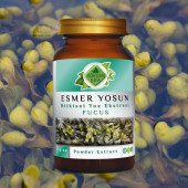 Fucus Toz Ekstresi 100 gr. Cam Kavanoz - 4