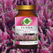 Funda Toz Ekstresi (Herba Ericae)50 gr. Cam Kavanoz - 7