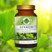 Ginkgo Toz Ekstresi (Ginkgo Biloba)100 gr. Cam Kavanoz - 2