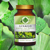 Ginkgo Toz Ekstresi (Ginkgo Biloba)100 gr. Cam Kavanoz - 6