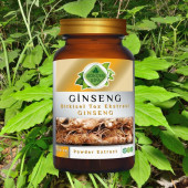 Ginseng Toz Ekstresi 100 gr. Cam Kavanoz - 7