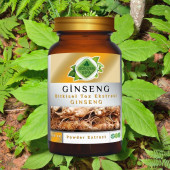 Ginseng Toz Ekstresi 100 gr. Cam Kavanoz - 8