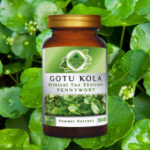 Gotu Kola Toz Ekstresi (Centella asiatica)100 gr. Cam Kavanoz - 2