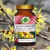 Hamamelis Toz Ekstresi 100 gr. Cam Kavanoz - 2