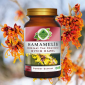 Hamamelis Toz Ekstresi 100 gr. Cam Kavanoz - 4