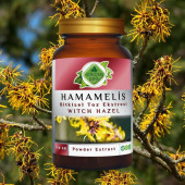 Hamamelis Toz Ekstresi 100 gr. Cam Kavanoz - 8