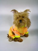 Tesla Penye Tulum Duo Köpek Tulumu Köpek Elbisesi - 3