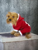 Kırmızı Sevimli Fare Duo Kapşonlu Köpek Tulumu - 2