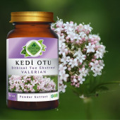 Kedi Otu Toz Ekstresi 80 gr. Cam Kavanoz - 6