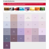 Dyo Dinamik İç Cephe Boyası Silikonlu 7252 Alaçatı 2,5 Lt - 6