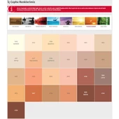 Dyo Dinamik İç Cephe Boyası Silikonlu 7550 Yeni Çağıl 7,5 Lt - 8